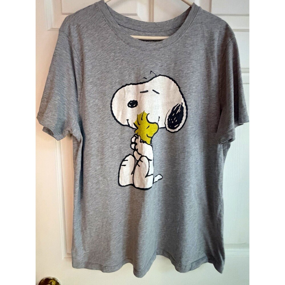 Peanuts Snoopy & Woodstock Gray Graphic Crew Neck Short Sleeve Tee Men's 2XL
